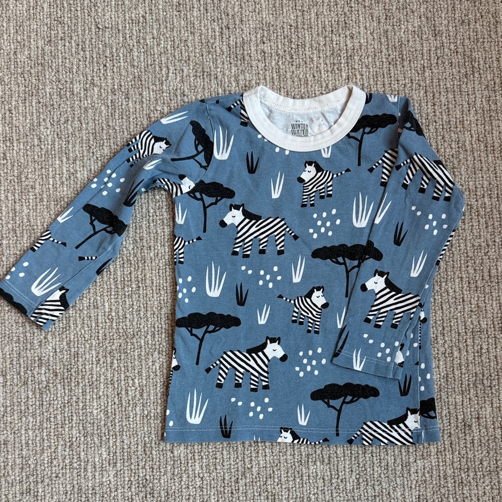 Winter Water Factory Zebra Print Long Sleeve Tee